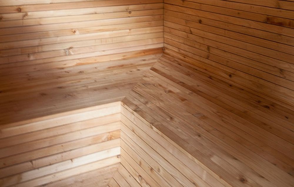 saune arbre hotel lux bois clair