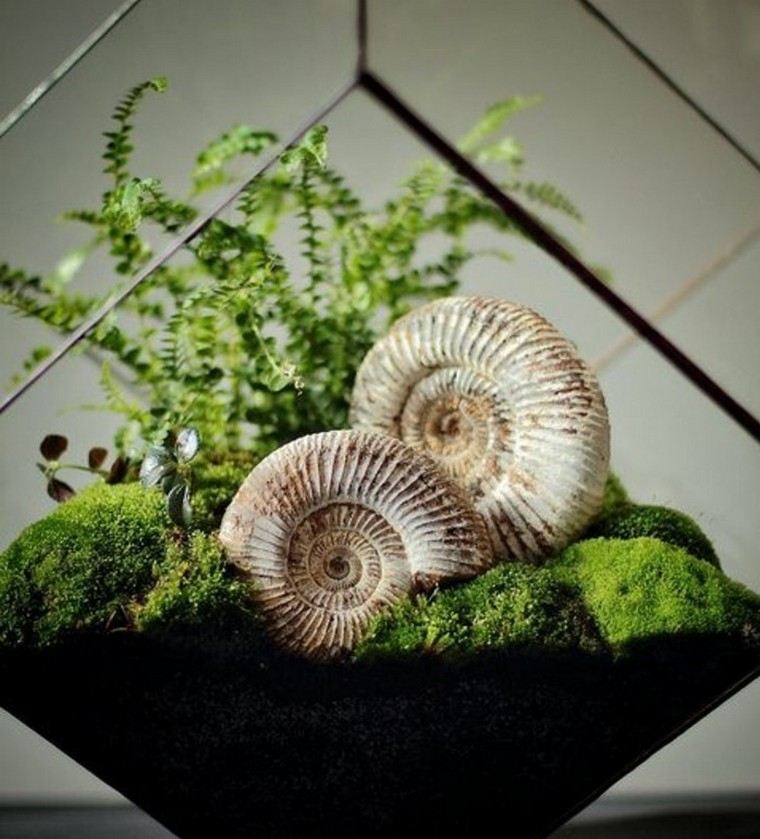 terrarium déco idée coquillage diy mini jardin miniature