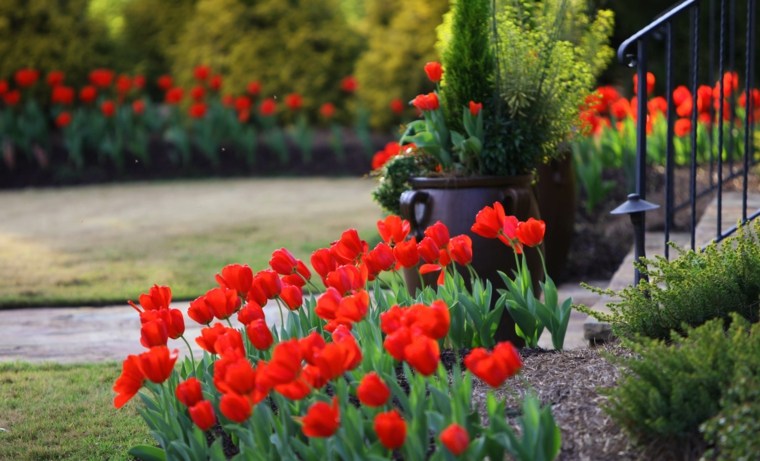 calendrier du jardinier tulipes entretien jardin exterieur printemps fleurs mars