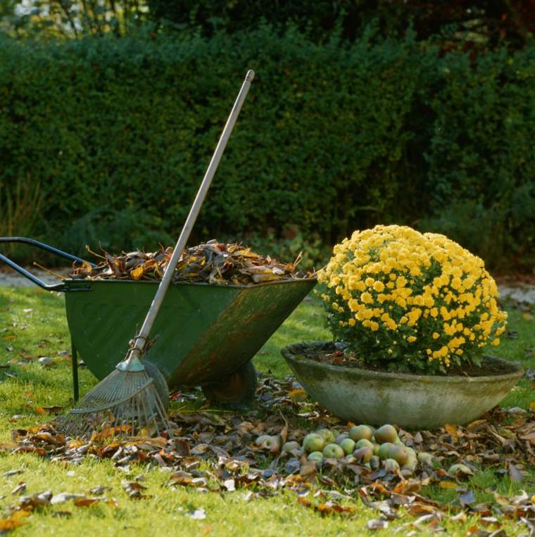 calendrier de jardin astuces automne feuilles mortes utilisation exterieur