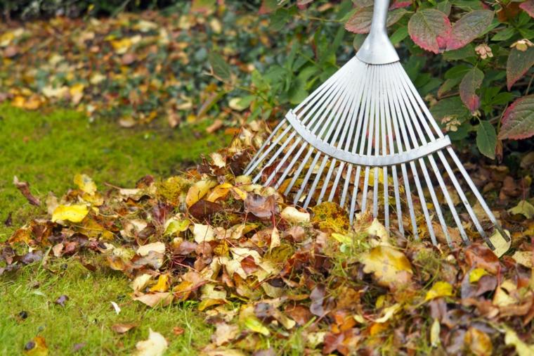 calendrier du jardinage ramasser les feuilles mortes activites automne