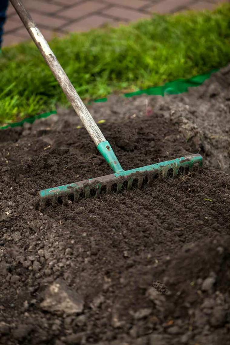 entretien jardin avril planter une pelouse gazon conseil jardinage calendrier