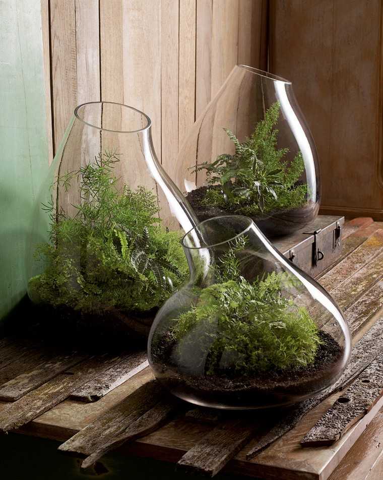 terrarium idée verre plante intérieur terre 