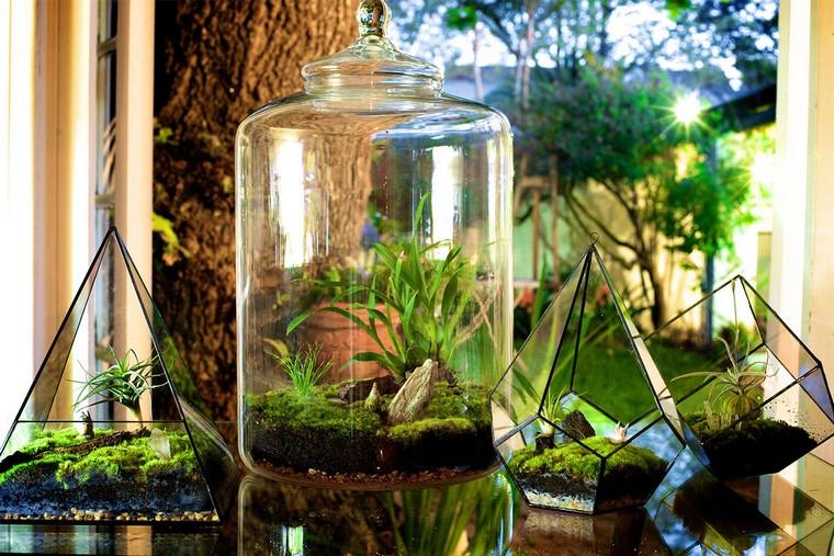 récipient verre terrarium idée plante grasse déco 