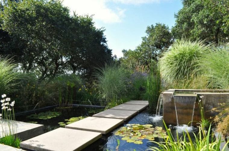 jardin aquatique bassin-d-eau-amenagement-exterieur-moderne-idee