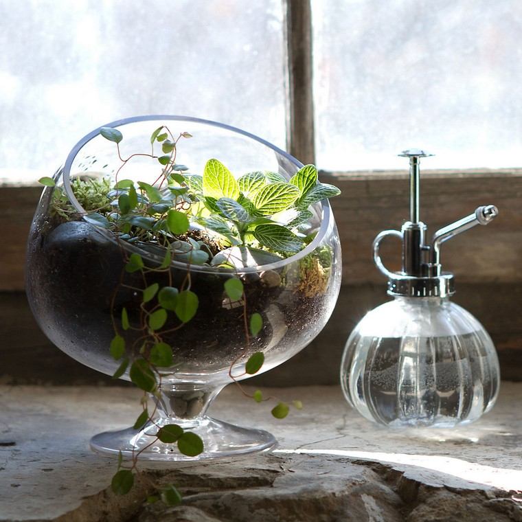 verre terrarium idée intérieur plantes grasses idée
