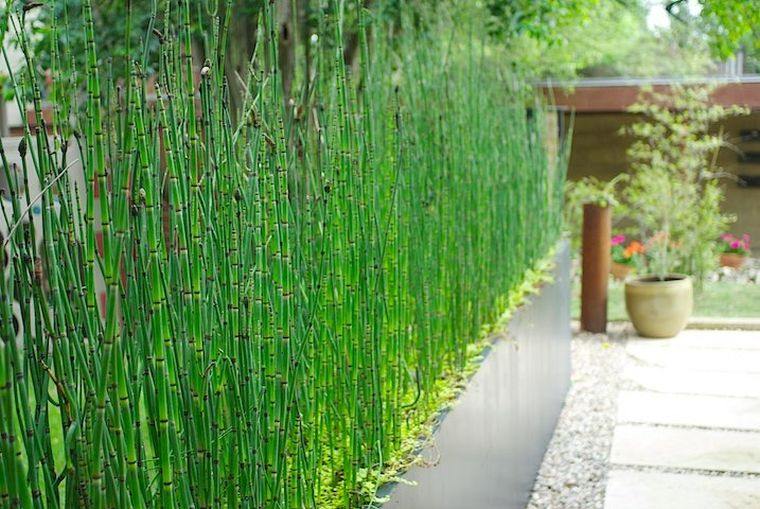 brise-vue-jardin-haie-bambou-devant-maison