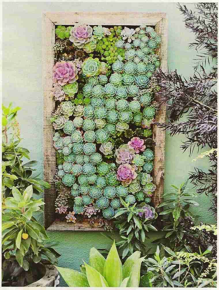 cadre-plantes-grasses-mur-vegetal