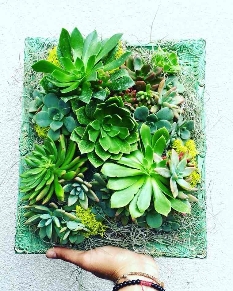 tableau végétal cadre végétal idée déco mur plante