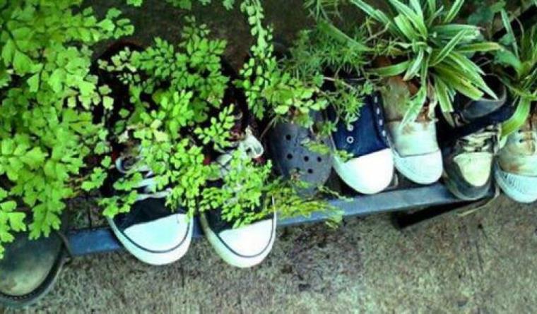 chaussures-baskets-pots-plantes