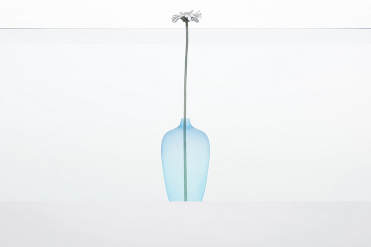 idée déco grand vase transparent idee-deco-grand-vase-transparent-jellyfish-akihiro-yoshida