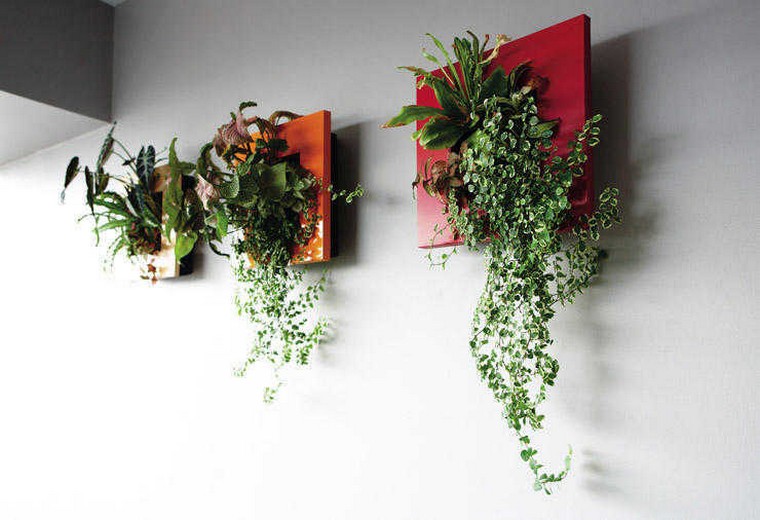 idee-deco-mur-tableau-vegetal-plantes