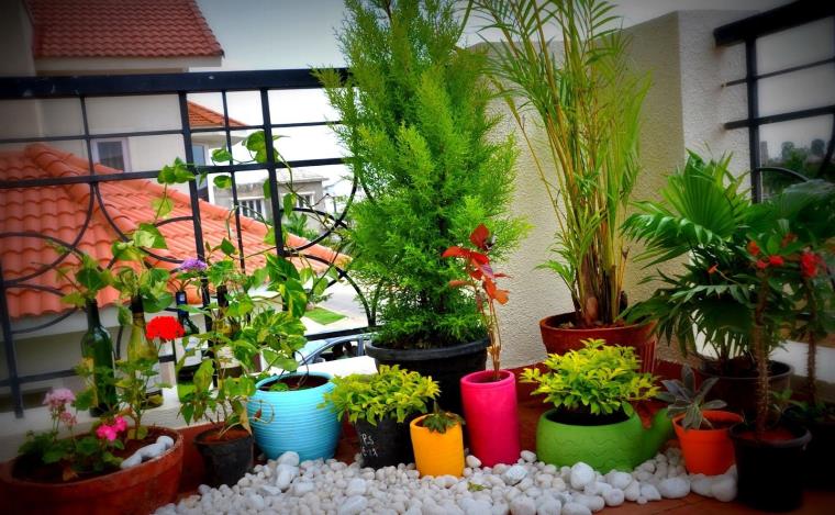 décoration balcon jardin-plantes-cailloux-fleurs