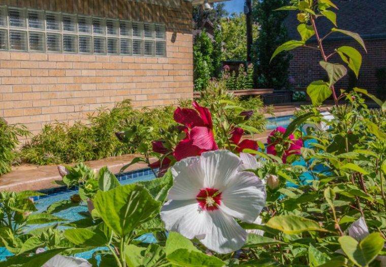 terrasse-piscine-decoration-fleurs