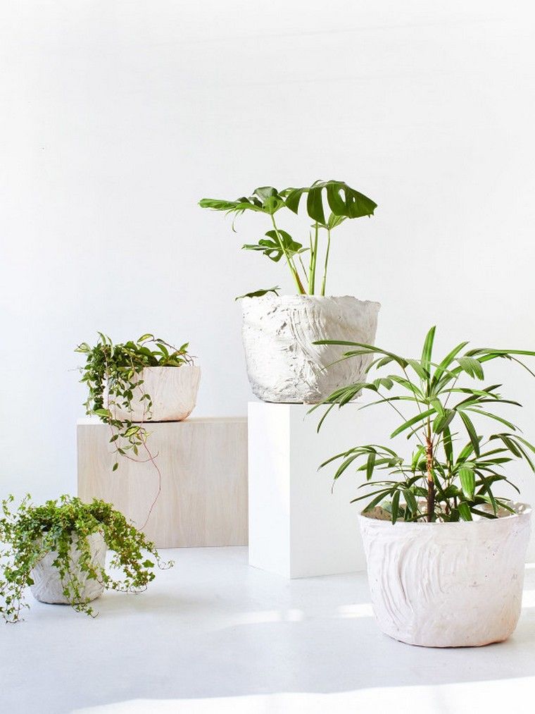 grand-pot-de-fleurs-design-interieur-minimaliste
