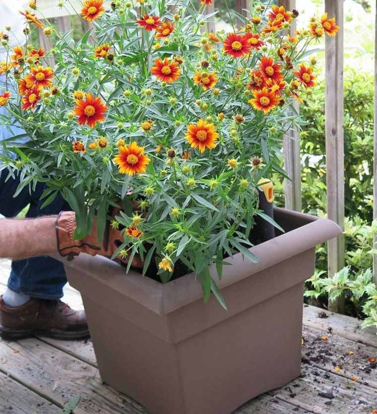 jardiniere balcon-comment-planter-son-propre-jardin