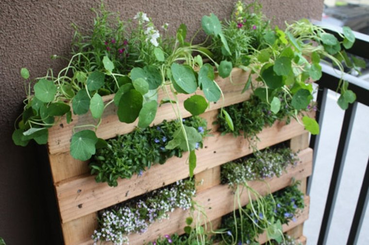 jardiniere balcon-murale-bois-plantes-vertes-contre-mur