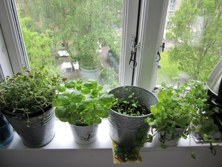 jardiniere interieure-fenetre-plantes-decorant-interieur-appartement