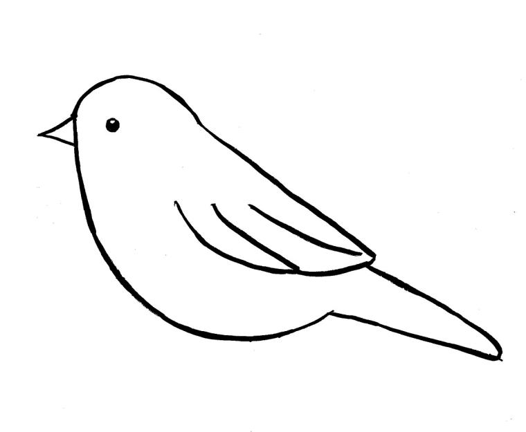 oiseau-feutre-dessiner-enfant
