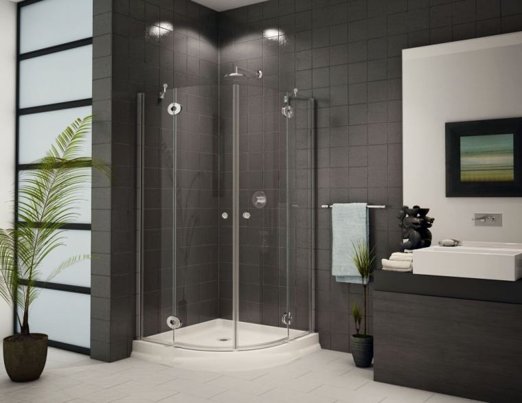 petite salle de bain cabine-douche-verre-noir-et-blanc