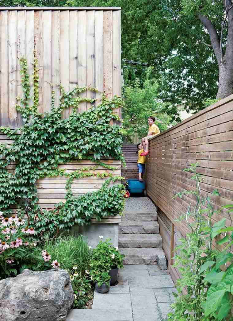 clôture de jardin en bois terrassement-plantes-grimpantes-exterieur