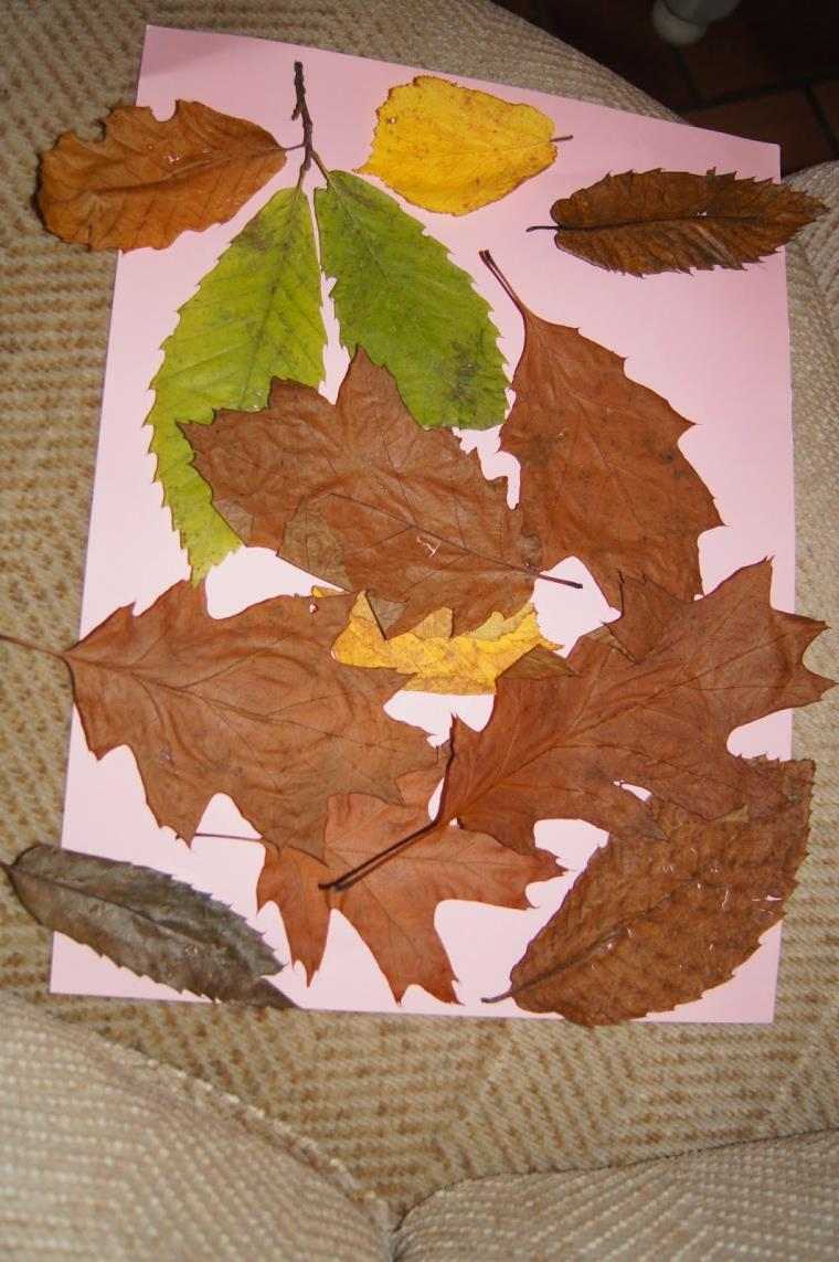 idee-collage-feuilles-arbre