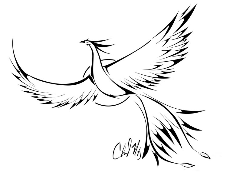 tatouage-phoenix-dessin-idee-tatouage-tribal