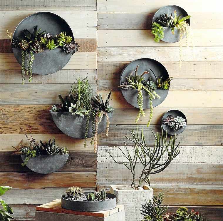 fabriquer un mur végétal intérieur diy jardin intérieur plantes