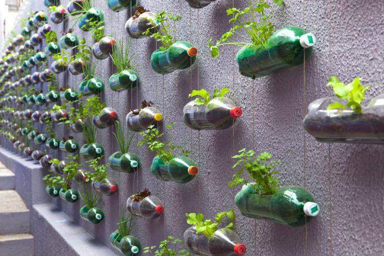 qu'est-ce-qu'on-peut-faire-avec-une-bouteille-en-plastique-jardin-vertical