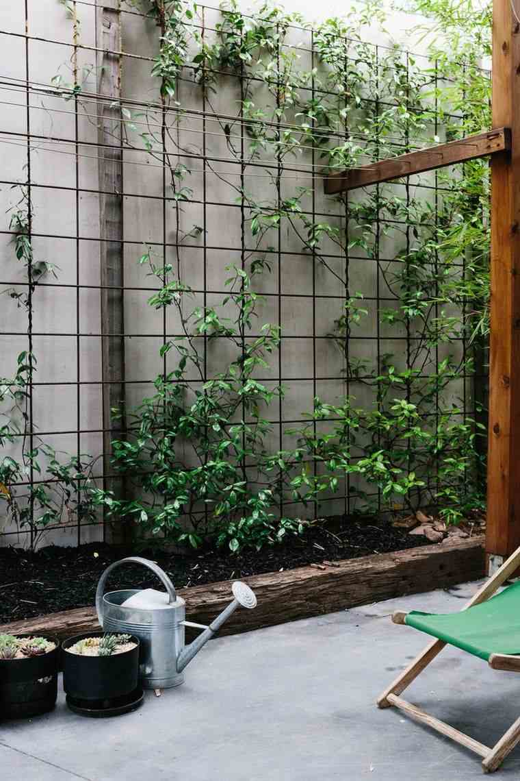 pinterest déco jardin mur-vegetal-diy-plantes-grimpantes