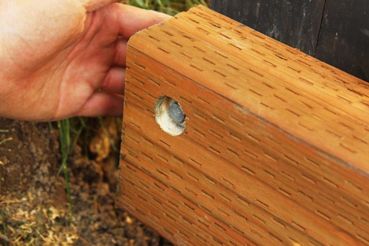 Fabrication terrasse bois : comment réaliser une structure terrasse avec pergola