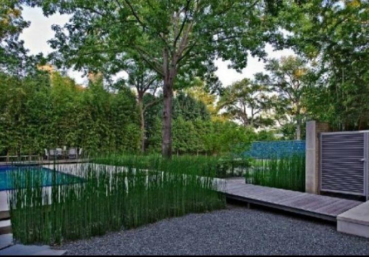 aménagement extérieur moderne lames-bois-verdure-bassin-eau