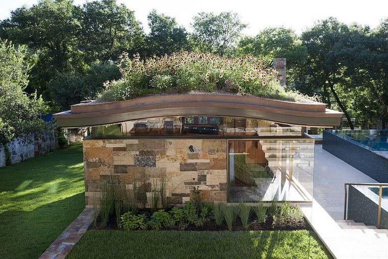 toiture végétale maison architecture moderne
