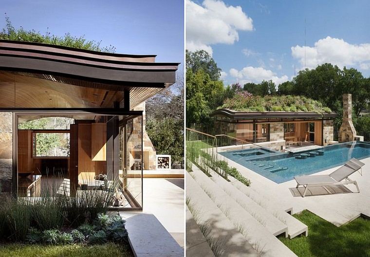 toiture végétale maison architecture moderne maison piscine