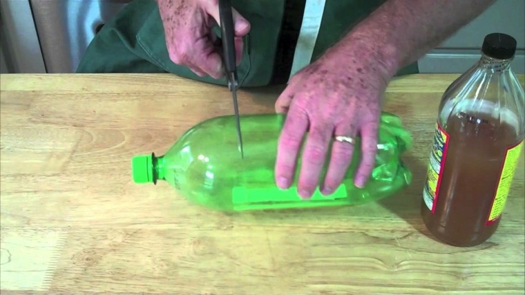 comment se débarrasser des moucherons bouteille-piege