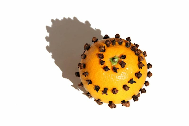 comment se débarrasser des moucherons orange-clous-girofle