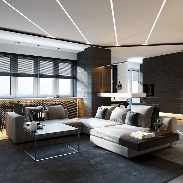 faux-plafond-moderne-design-salon-canape-interieur