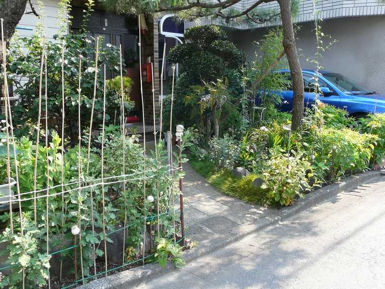 jardin clôture idée diy séparation potager 