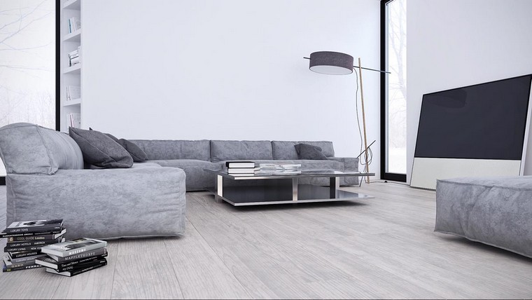 salon-canape-gris-style-minimaliste