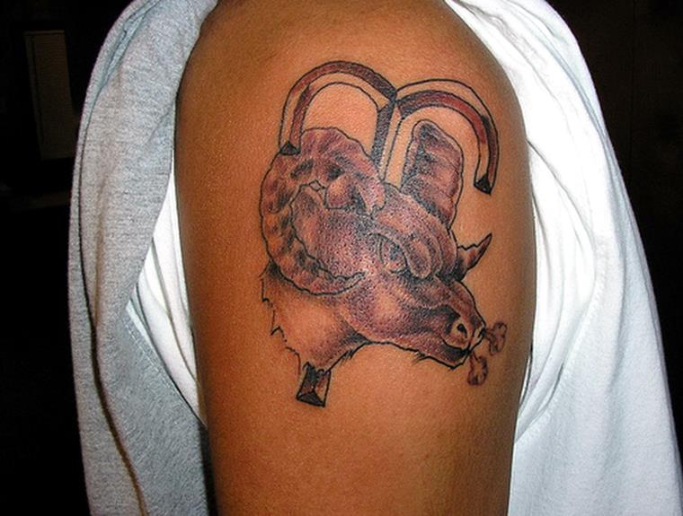signification-animal-idee-tattoo