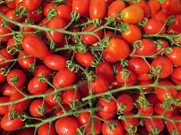 tomates-cerises-recette-vegan