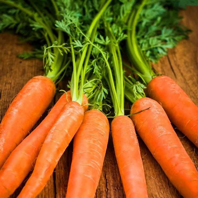 carrottes-legumes-jardin-appartement-potager