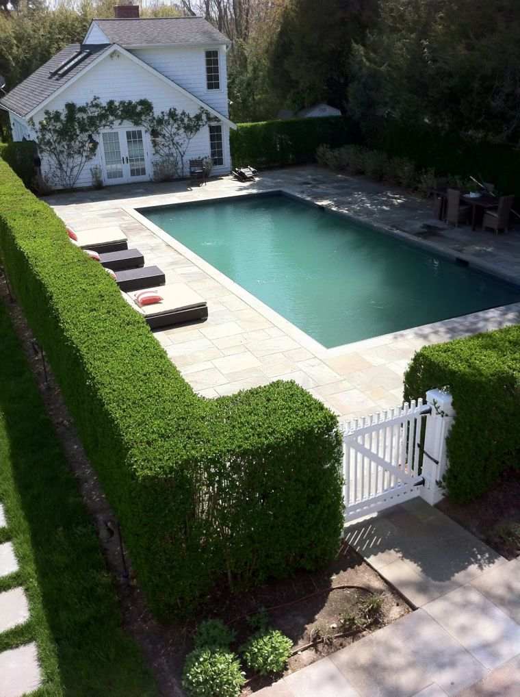 faire une haie de clôture jardin-piscine-naturelle-conseils