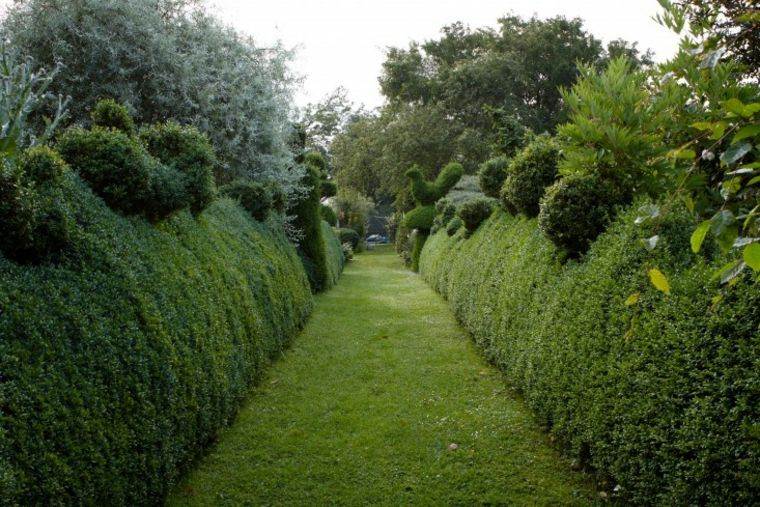 faire une haie de clôture pour-jardin-moderne-deco-exterieur