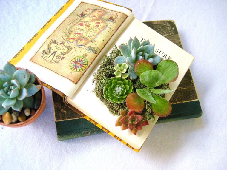 recycler-vieux-livres-pot-de-fleur-diy-plantes-succulentes