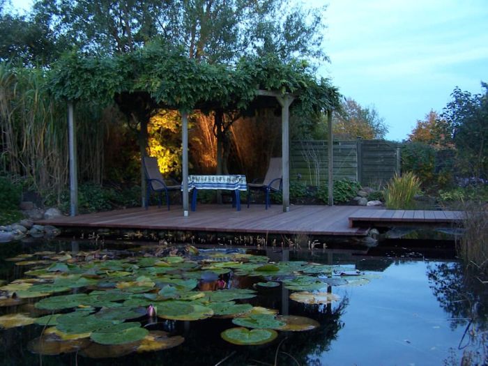 abri terrasse bassin-naturel-decking-bois