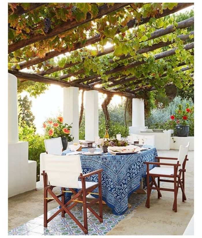 abri terrasse plante-grimpante-vigne