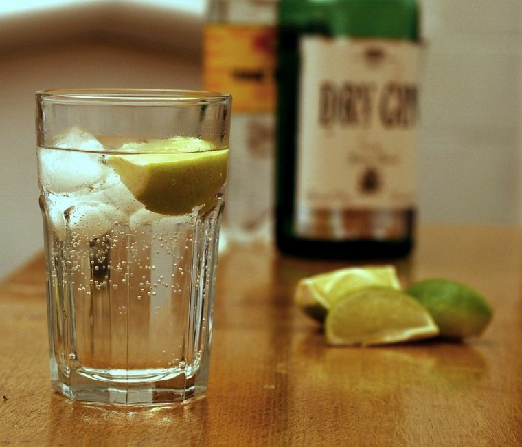 gin tonic lime-dry-gin