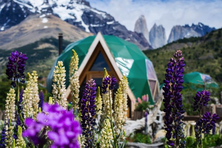 glamping patagonie-dome-avec-jardin