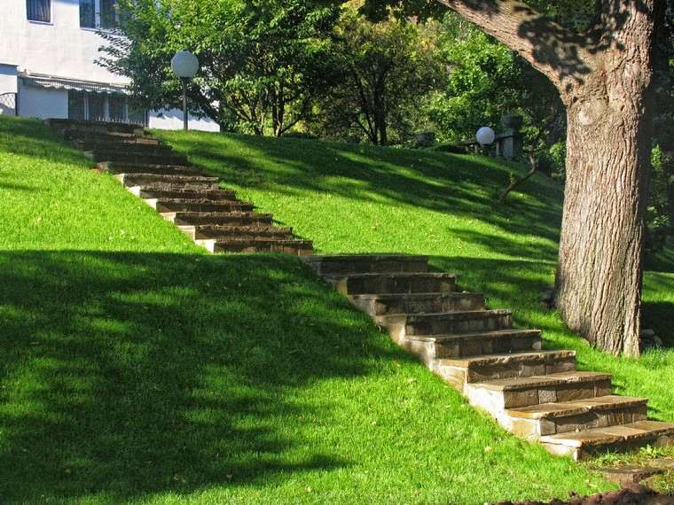 jardin-escalier-idee-pierre-amenager-jardin